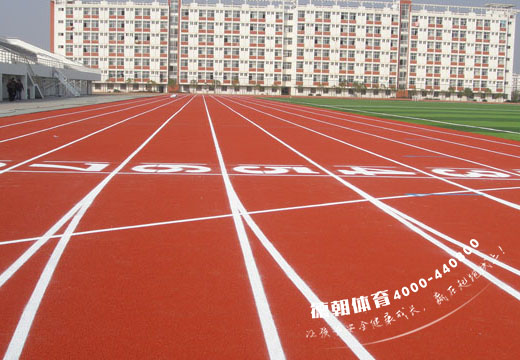 新國標(biāo)EPDM塑膠跑道